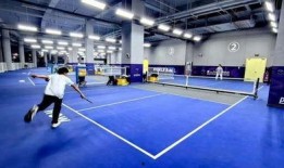 体育圈的天花板,巅峰时刻的辉煌与挑战